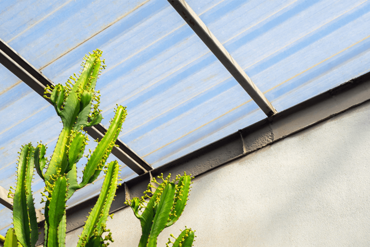 hero image for blog post